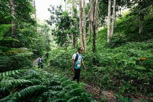 BIB: 
                            <button type="button" onclick="openModal(26409278)" class="btn btn-primary btn-sm float-right btn-popup" data-toggle="modal" data-target=".modal-high-quality">
                        <i class="fas fa-shopping-cart"></i> Add to Cart
                    </button>
                                            <button type="button" onclick="isThisMe(26409278, true)" class="btn btn-success btn-sm float-right btn-popup btn-isme hidden" data-toggle="tooltip" data-placement="bottom" title="นี่คือรูปของคุณใช่ไหม คลิกที่นี่เพื่อเอาเข้าอัลบั้ม">
                        <i class="fas fa-plus"></i> Add to album
                    </button>
                    <button type="button" onclick="isThisMe(26409278, false)" class="btn btn-warning btn-sm float-right btn-popup btn-isnotme hidden">
                        <i class="fas fa-ban"></i> Remove from album
                    </button>